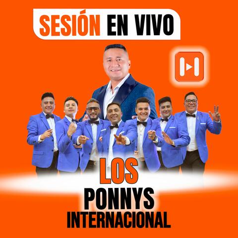 Sesión En Vivo