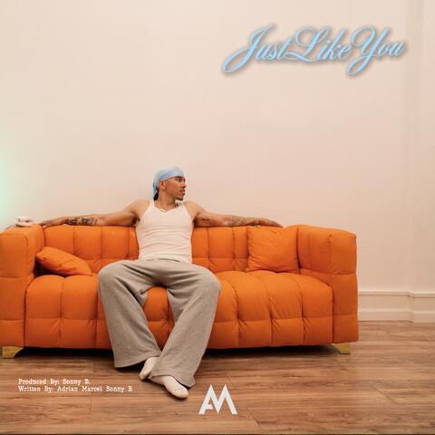 Just Like You