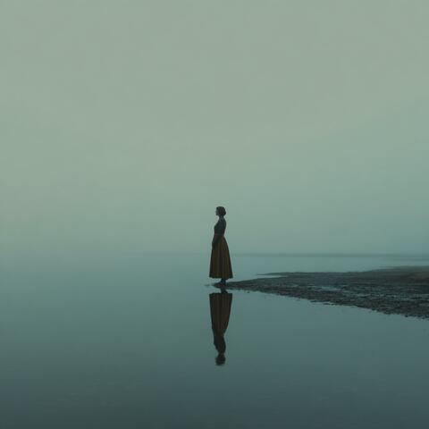 Where the Light Forgot to Fall