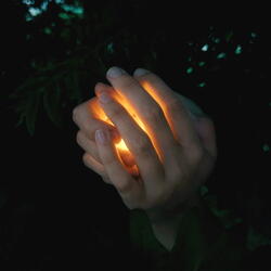 Firefly Collector