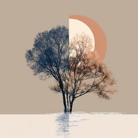 Apricot Lines