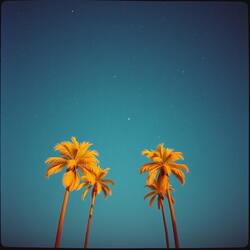 Golden Dreams of California