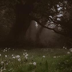 nothing feels real anymore