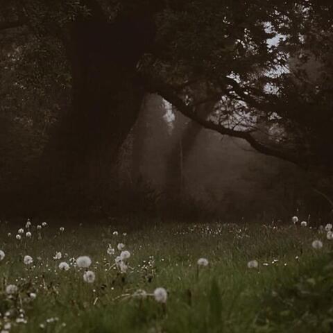 nothing feels real anymore