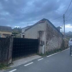 japanese dem
