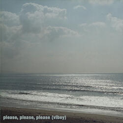 Please Please Please (Vibey)