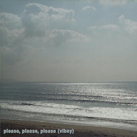 Please Please Please (Vibey)
