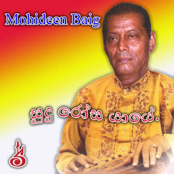 Mage Dasa Bodawi