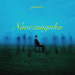 Nimezunguka