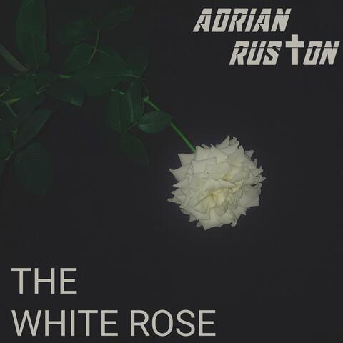 The White Rose