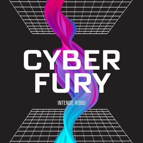 Cyber Fury