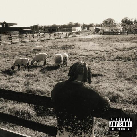SACRIFICIAL LAMB