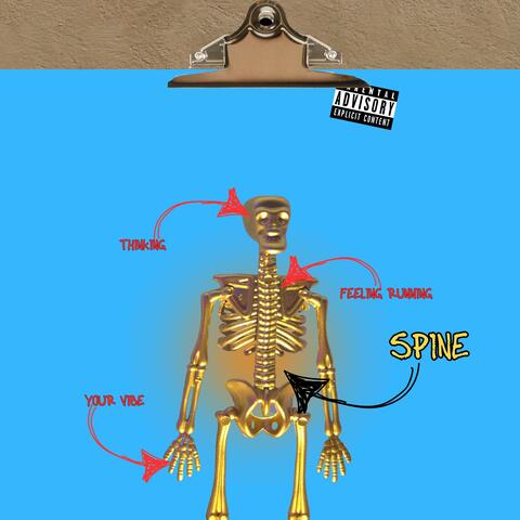 SPINE
