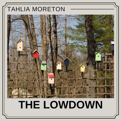 The Lowdown