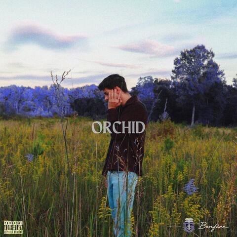 ORCHID