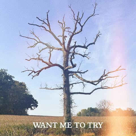 Want Me To Try