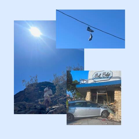 day trip