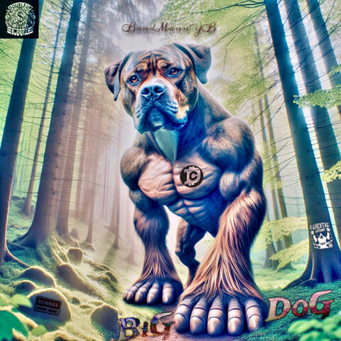 Big Foot Dog