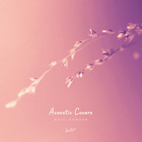 Acoustic Covers