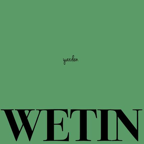 Wetin (Sped up/Slowed)