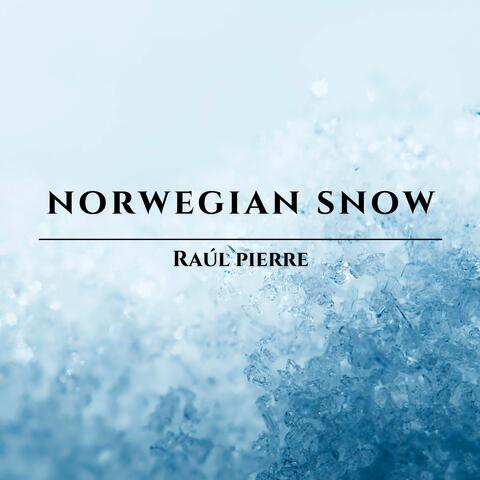 Norwegian Snow