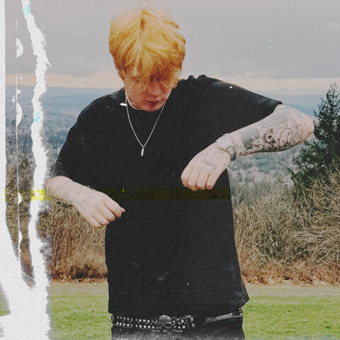 bouquet of dead flowers