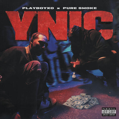 YNIC