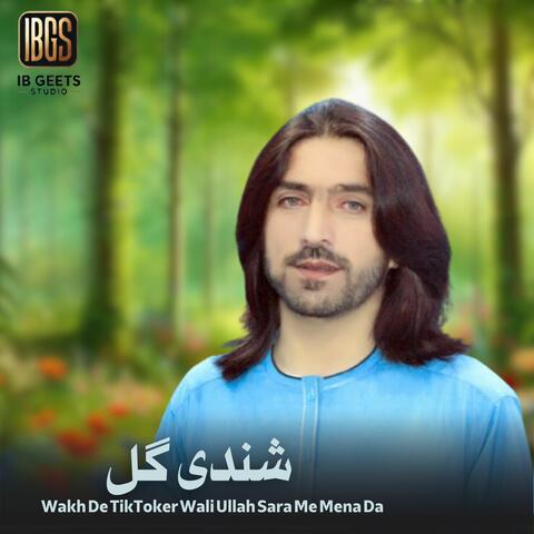 Wakh De TikToker Wali Ullah Sara Me Mena Da