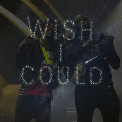 WISH I COULD