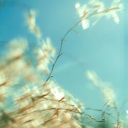 仕‌方‌が‌な‌い