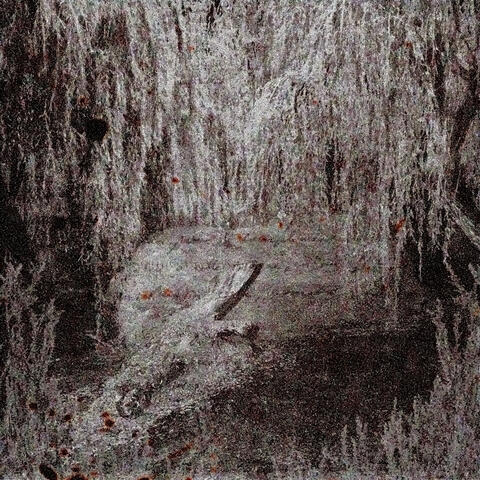 Minus Growth