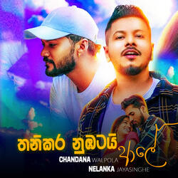Thanikara Nubatai Aale