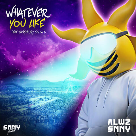 Whatever You Like