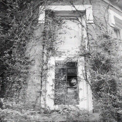 this world isn't for me