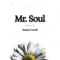 Mr. Soul