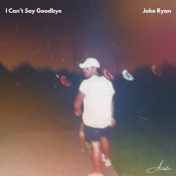 I Can't Say Goodbye (Acoustic)