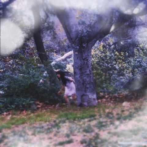 WOLFWALKERS