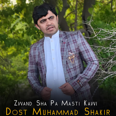 Zwand Sha Pa Masti Kawi