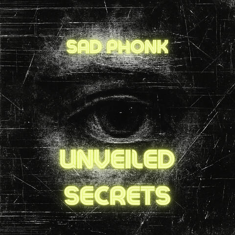 Unveiled Secrets