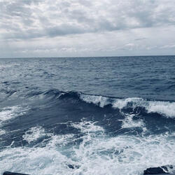Immensity