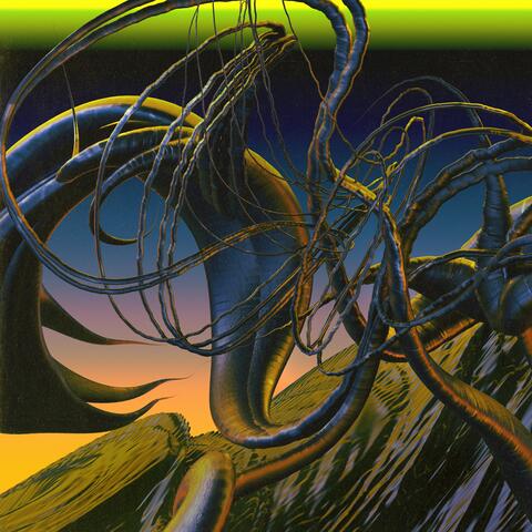 Zero Eye Contact / Trenches