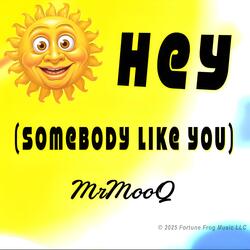 Hey (Somebody Like You)