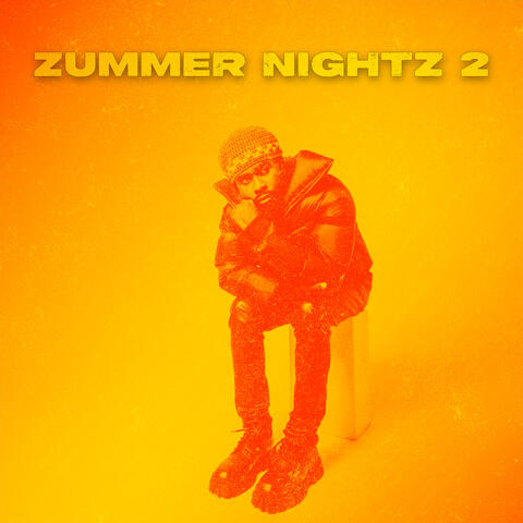 Zummer Nightz 2
