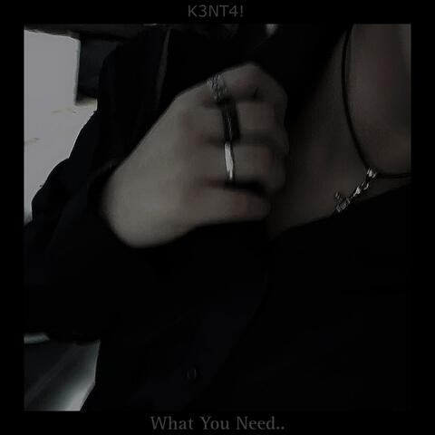 What You Need