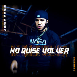 NO QUISE VOLVER