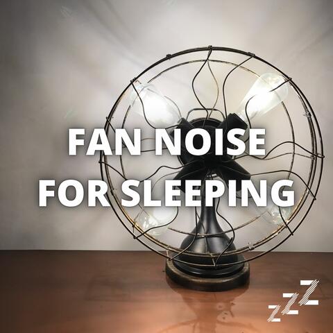 Sleep Fan Noise (Loopabe 8 -10 - 12 Hours)