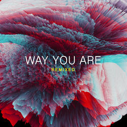 Way You Are (Veinmelter Remix)