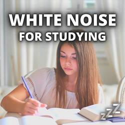 White Noise For Alexa