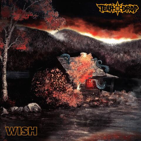 Tear Drop / WISH