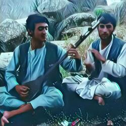 دندان صدف داری مثال موره ایی هابیل نجرابی